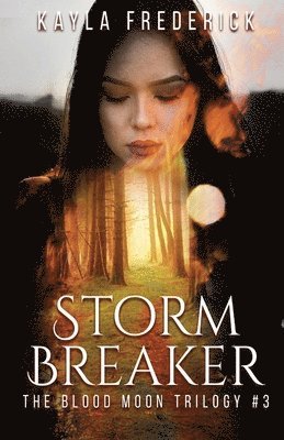 bokomslag Storm Breaker