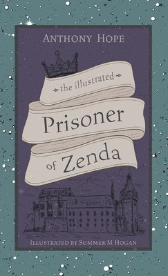 bokomslag The Illustrated Prisoner of Zenda