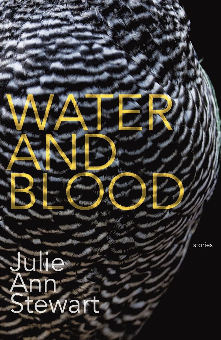 Julie Stewart - Water and Blood, Häftad