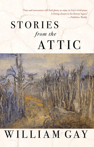 William Gay - Stories from the Attic, Häftad
