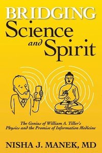 bokomslag Bridging Science and Spirit