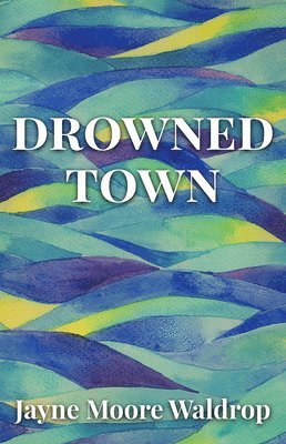 bokomslag Drowned Town
