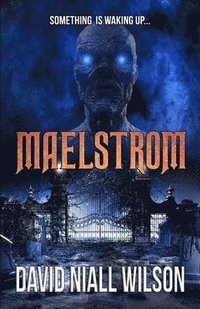 bokomslag Maelstrom