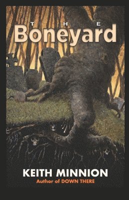 The Boneyard 1