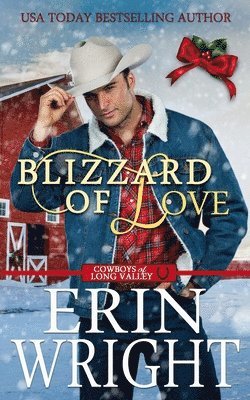 bokomslag Blizzard of Love