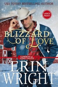 bokomslag Blizzard of Love