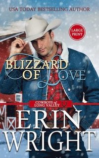 bokomslag Blizzard of Love