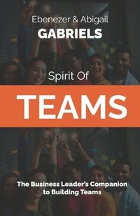 bokomslag Spirit of Teams