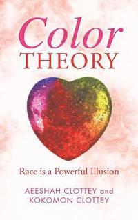 bokomslag Color theory