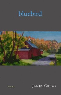 bokomslag Bluebird: Poems