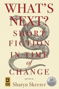 bokomslag What's Next? Short Fiction in Time of Change