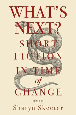 bokomslag Whats Next? Short Fiction in Time of Change
