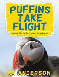 bokomslag Puffins Take Flight