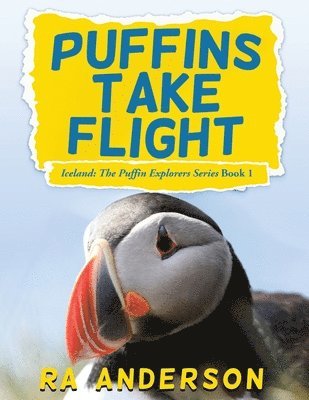 Puffins Take Flight 1