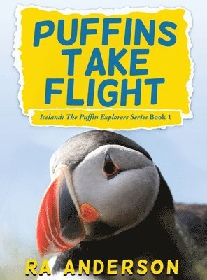 Puffins Take Flight 1