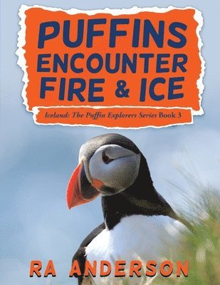 bokomslag Puffins Encounter Fire and Ice