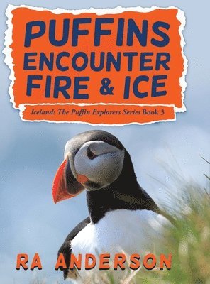 bokomslag Puffins Encounter Fire and Ice