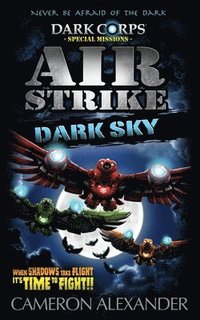 bokomslag Air Strike