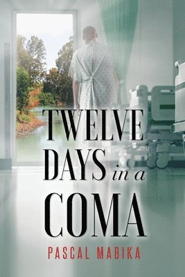 Twelve Days in a Coma From the Jordan River to His Bedside 1