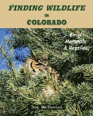 bokomslag Finding Wildlife In Colorado