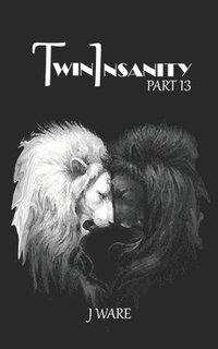 bokomslag TwinInsanity Part 13