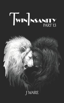 bokomslag TwinInsanity Part 13