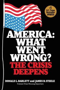 bokomslag America: What Went Wrong? The Crisis Deepens