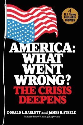 bokomslag America: What Went Wrong? The Crisis Deepens