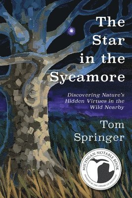 Tom Springer - Star in the Sycamore, Häftad