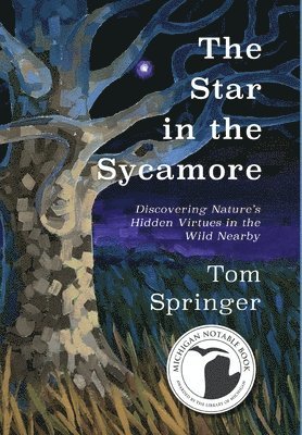 bokomslag The Star in the Sycamore