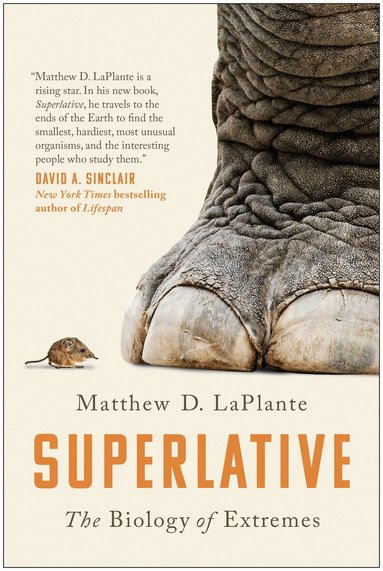 Matthew D. LaPlante - Superlative, Häftad