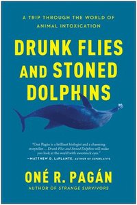 bokomslag Drunk Flies and Stoned Dolphins