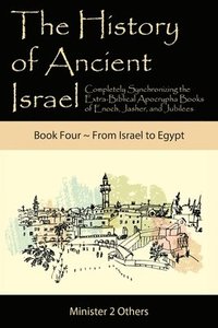 bokomslag History of Ancient Israel