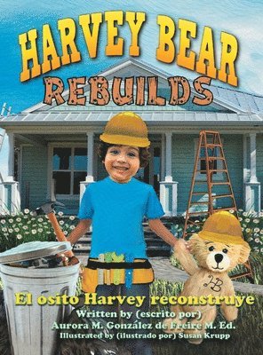 Harvey Bear Rebuilds 1