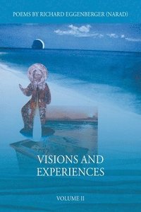 bokomslag Visions and Experiences Volume II