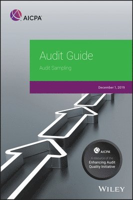 Aicpa - AUDIT GD 2/E, Häftad