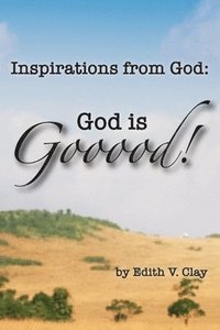 bokomslag Inspirations from God
