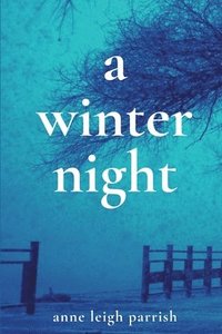 bokomslag A Winter Night