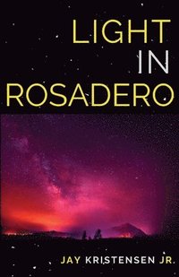 bokomslag Light in Rosadero