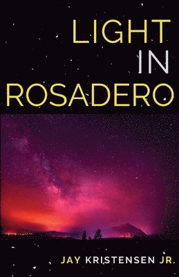 bokomslag Light in Rosadero