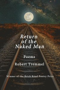 bokomslag Return of the Naked Man