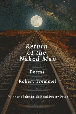 bokomslag Return of the Naked Man