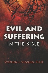 bokomslag Evil and Suffering in the bible