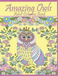 bokomslag Amazing Owls