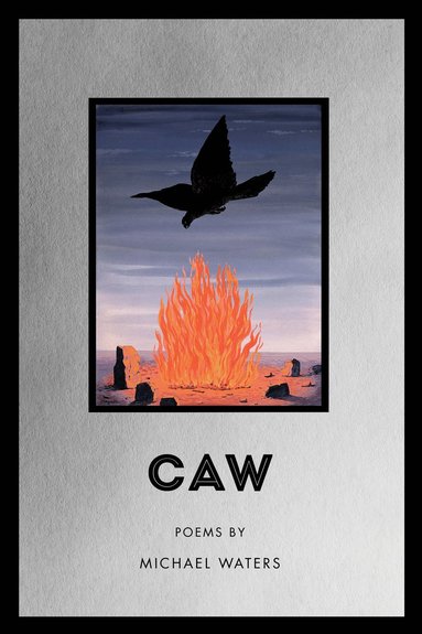 bokomslag Caw