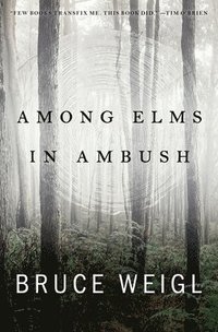 bokomslag Among Elms, in Ambush