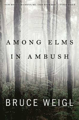 bokomslag Among Elms, in Ambush