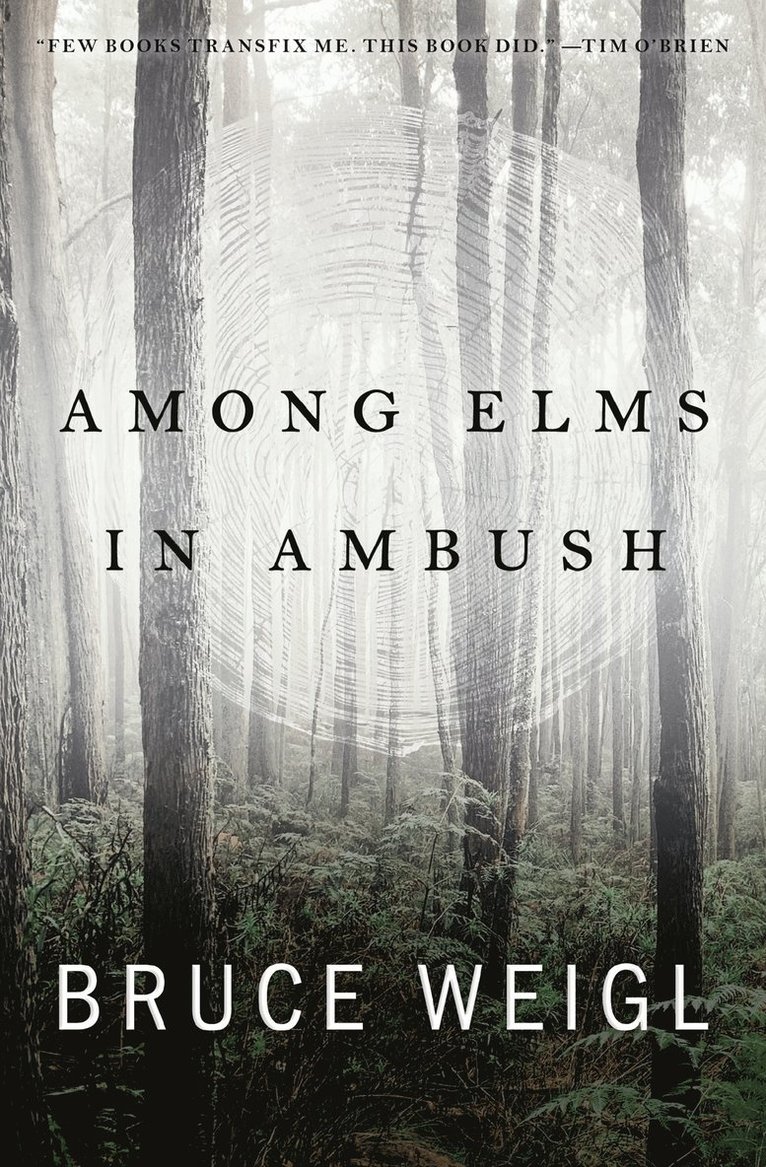 Among Elms, in Ambush
