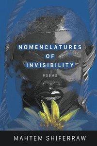 bokomslag Nomenclatures of Invisibility