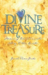 bokomslag Divine Treasure